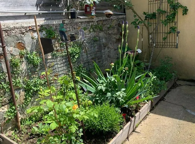 Chez Viviane Fontaine-Etoupefour